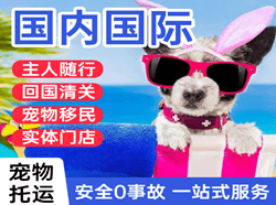佳木斯东郊机场货运国际宠物托运 【国
